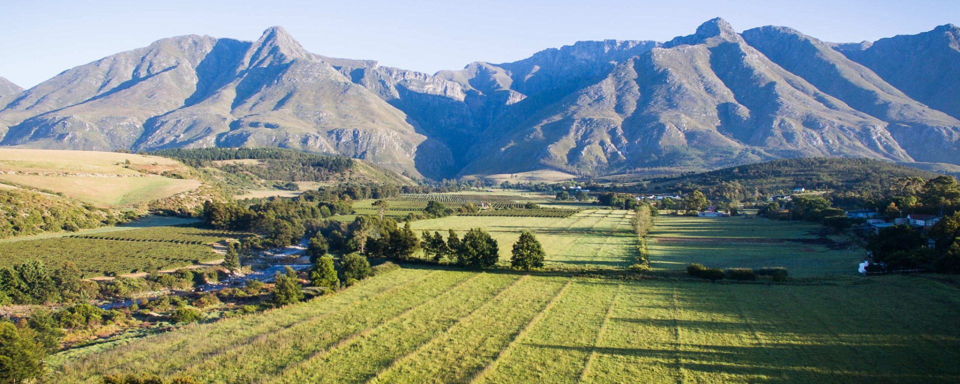 Swellendam’s Berried Treasure