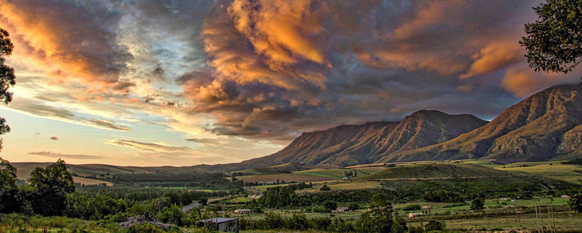 Wildebraam Berry Estate Swellendam