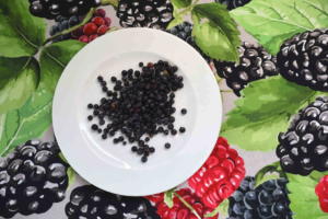 Blueberry - Jam Grade