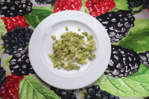 Kiwi Diced